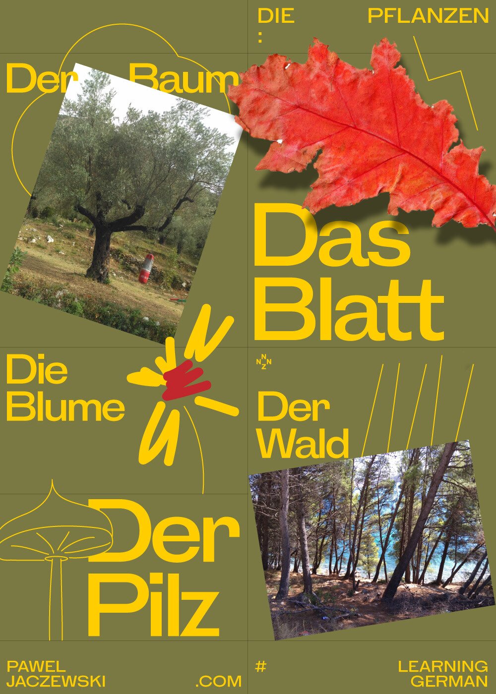A poster explaining how to name plants in German